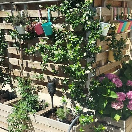 Studio Pour Location Vacances A La Semaine Avignon Exterior foto